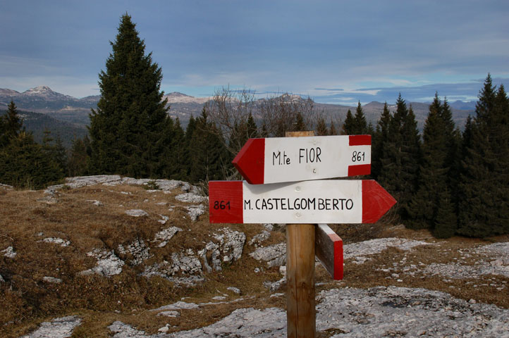 trincee altipiani di asiago